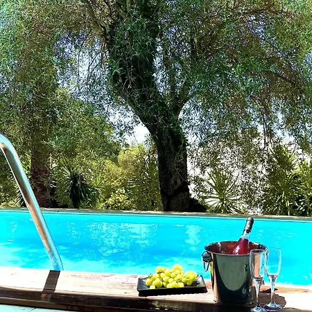酒店 Mr And Mrs White Corfu Couples Retreat Adults Only 阿查拉维